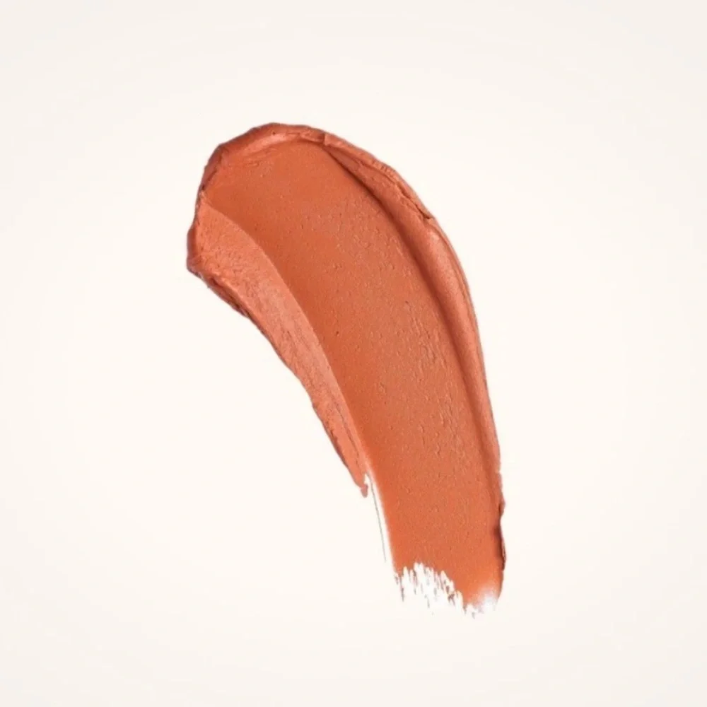 NEW Makeup‎ Revolution Matte Nude Lipstick – Spice